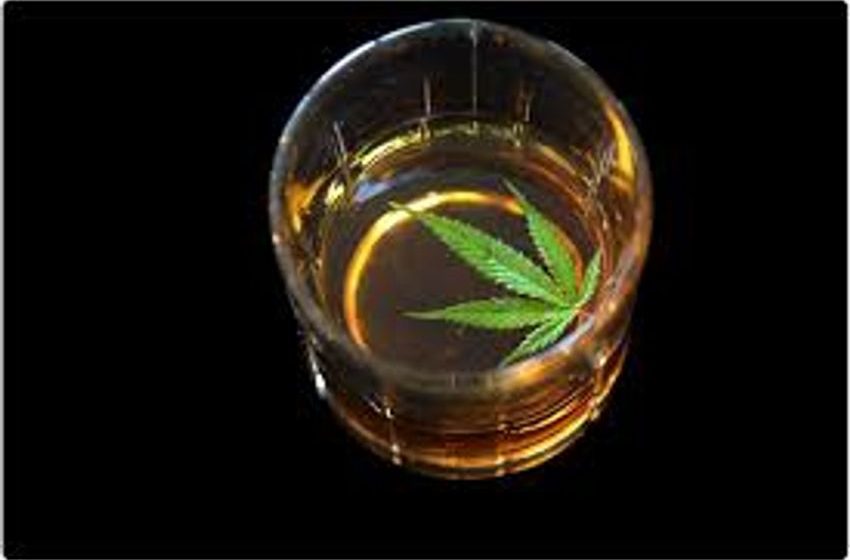 More Shocking yet not Shocking News on Cannabis and Alcohol
