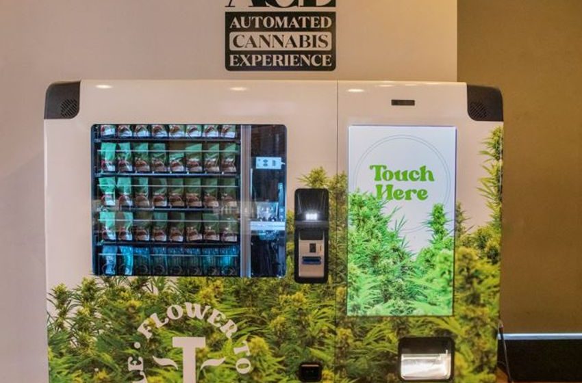 Opinion: Could Kamala Harris fix Colorado’s cannabis monopoly problem?
