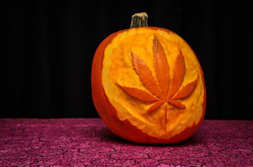  Happy Hallow-Weed: Our 2024 Cannabis Gift Guide Is Here