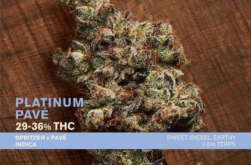 Premium Cannabis Strains – Tilray Brands Expands Its Broken Coast Line with Platinum Pavé (TrendHunter.com)
