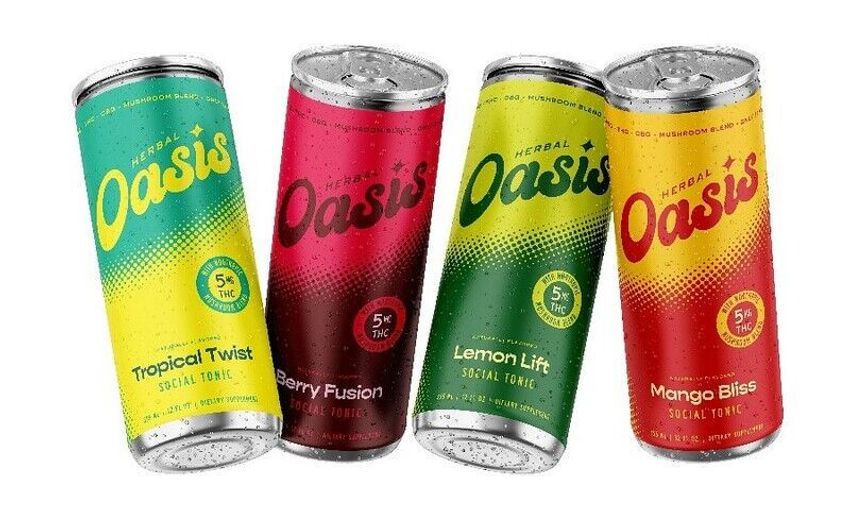Social Connection Cannabis Drinks – Herbal Oasis Social Tonics are Made with Hemp-Derived THC (TrendHunter.com)