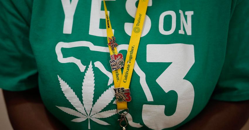 How Trump and Harris’ stances and policy plans on marijuana legalization compare