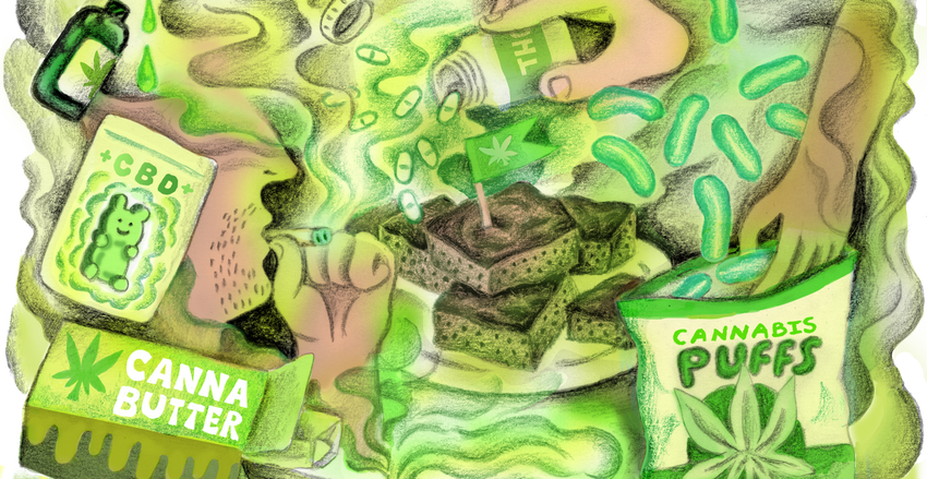  How weed won over America
