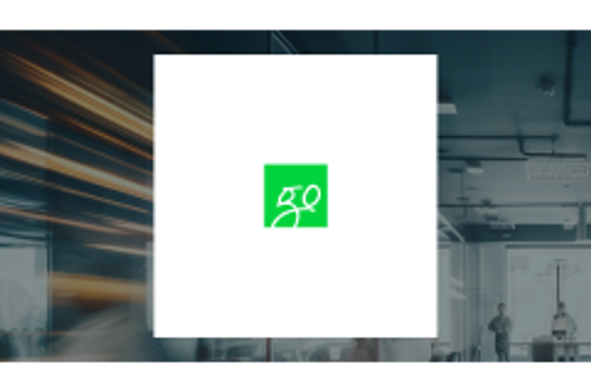Reviewing Medical Cannabis Payment Solutions (OTCMKTS:REFG) & Payoneer Global (NASDAQ:PAYO)