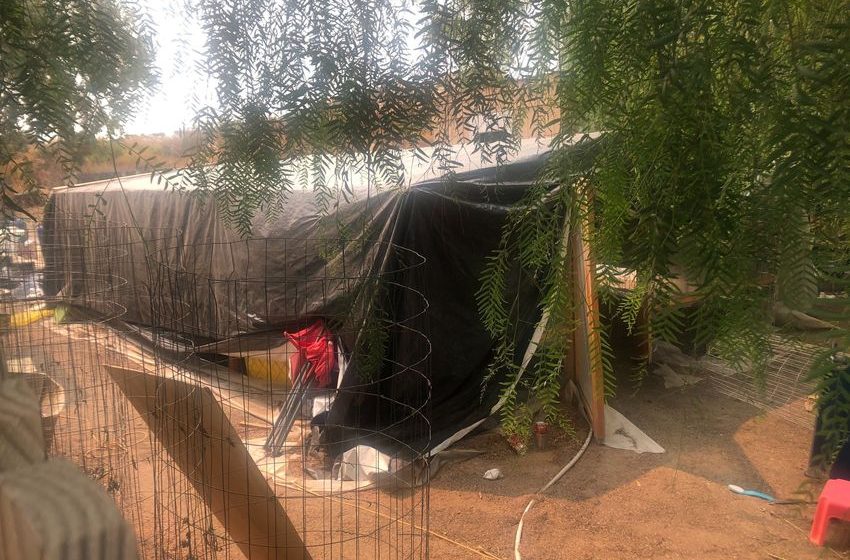 Suspected Gang Connection Emerges in California Marijuana Grow Massacre