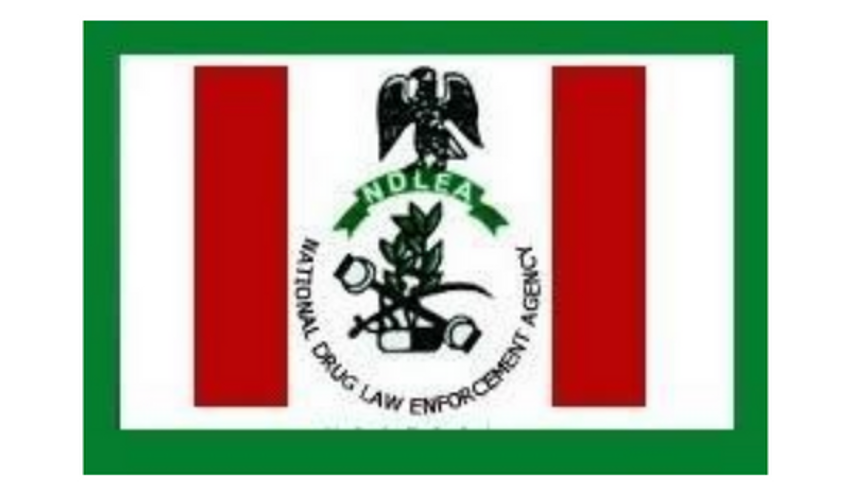 NDLEA arraigns woman, two others for importing 28kg drug