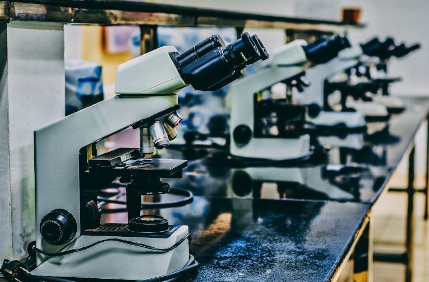Bringing about the bioeconomy