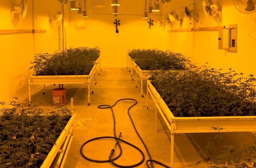  Exclusive: Ex-Rohnert Park Cop Faces Few Consequences for Illegal Cannabis Grow