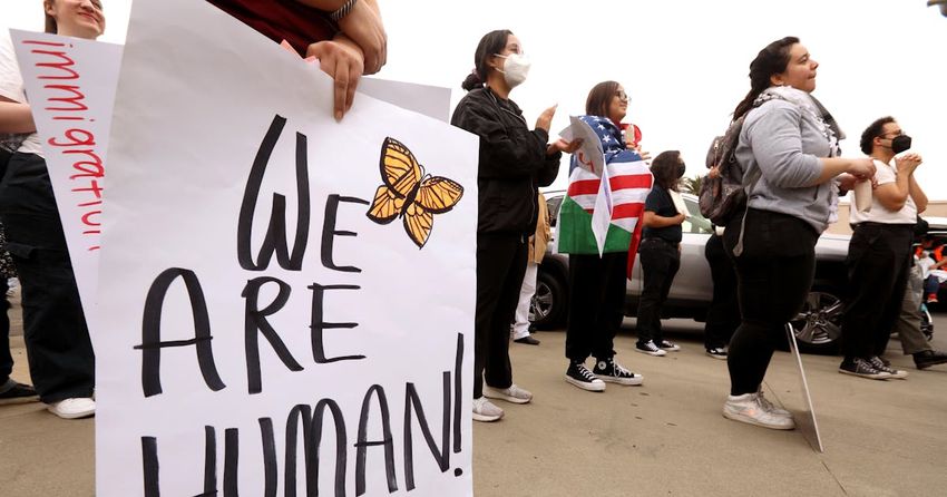  A Secret Weapon to Fight Mass Deportation