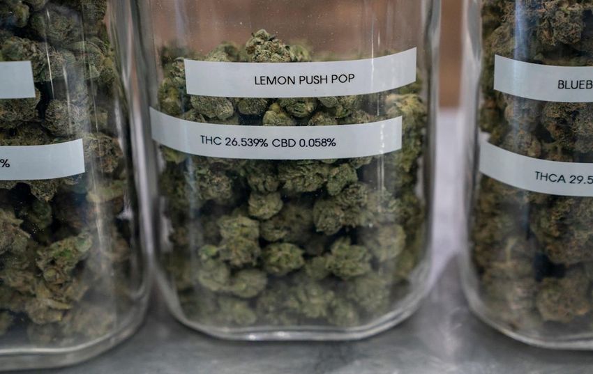  Judge: Recreational marijuana is legal, so cops can’t use their bogey “smell of masrijuana” as a reason to search a vehicle [Cool]