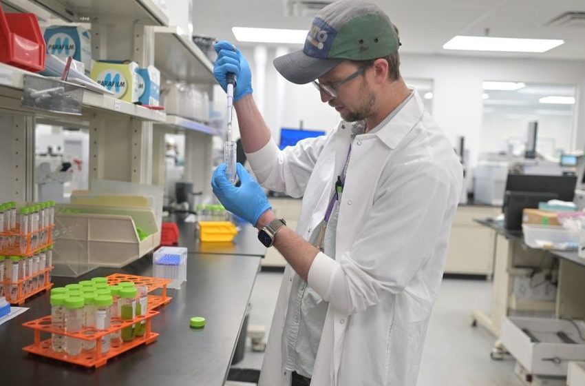  How contaminated weed gets by Colorado’s strict cannabis testing guidelines