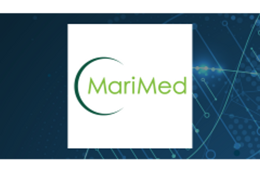 Boiron (OTCMKTS:BOIRF) versus MariMed (OTCMKTS:MRMD) Critical Analysis