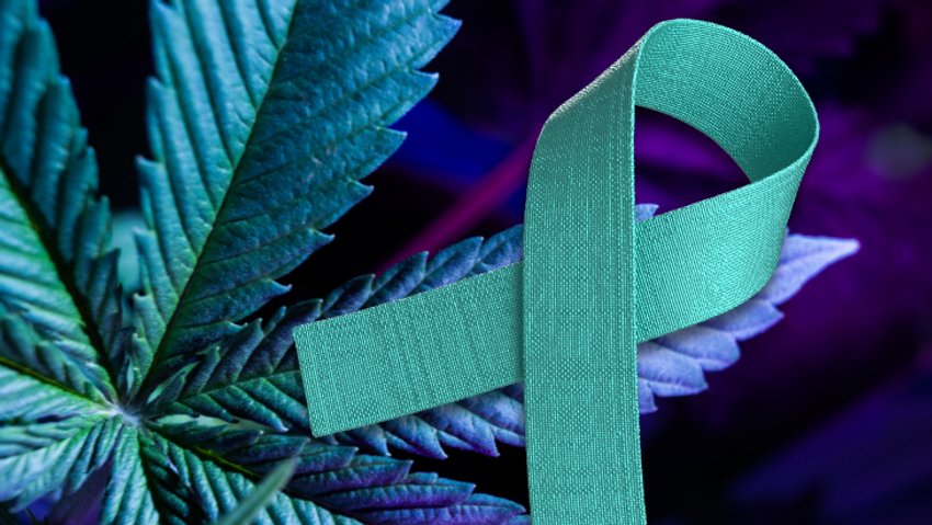  Recovery Happens: NORML Advisory Board Member Zeke Thomas on Finding Healing Through Cannabis and Why It’s Time To Talk About It