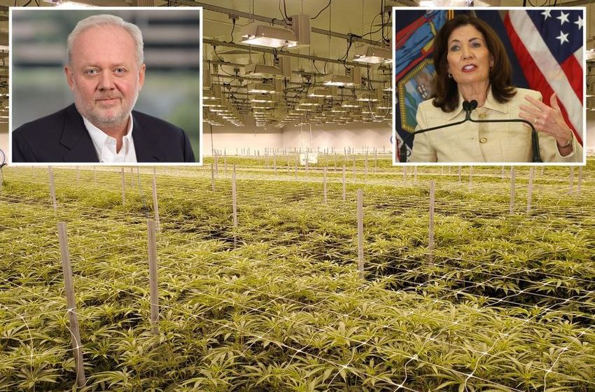 Medical pot pioneer rips ‘un-American’ Hochul, NY regulators for allegedly thwarting businesses: ‘Want to destroy us’