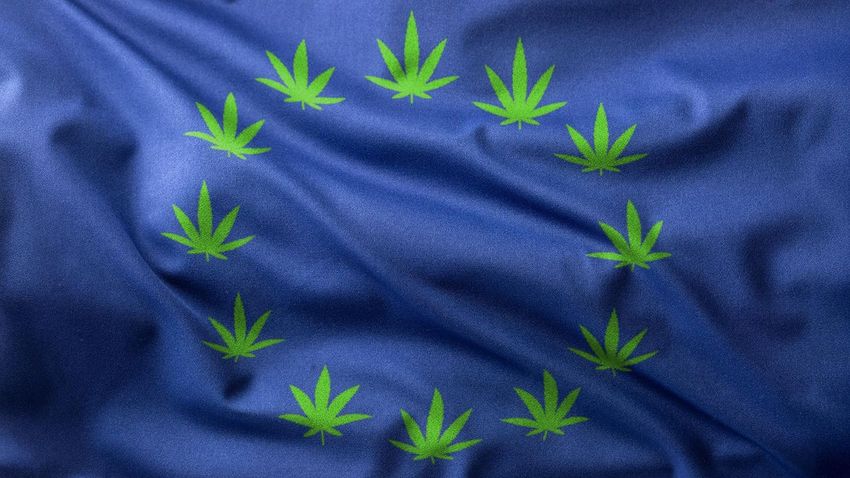  With Federal Legalization Stalled, Cannabis Companies Are Finding A New Green Rush In Europe