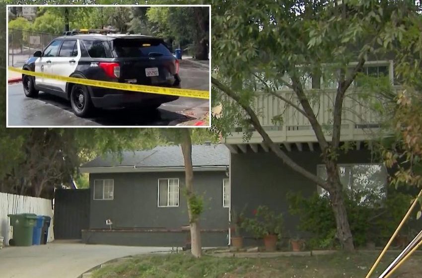 Thugs charged with savage murder of Israeli businessman in his LA home are illegal immigrants — and one was released by a sanctuary city
