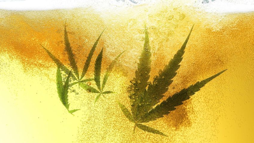 Why One-Time Cannabis Darling Tilray Is Now High On Beer