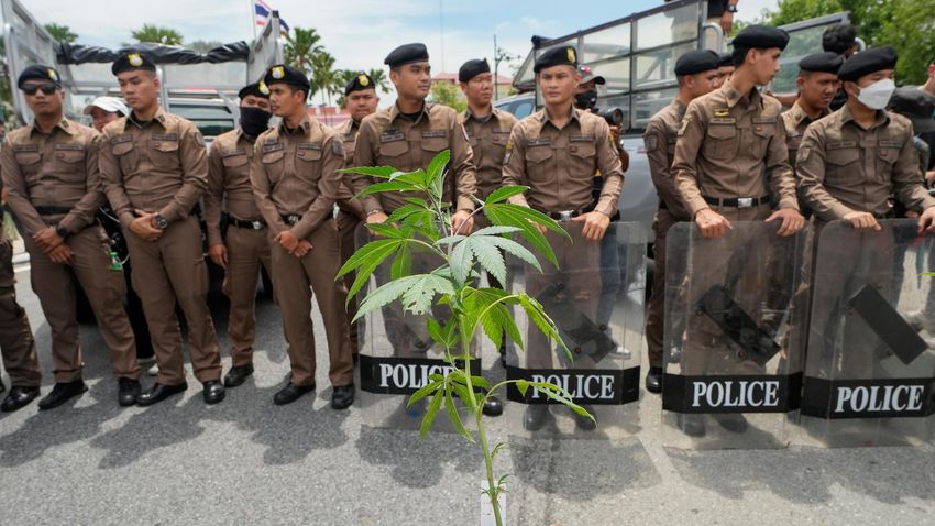 Thailand vows to tighten control on cannabis after smuggling cases involving tourists soar