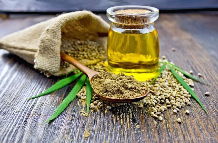 Hemp seeds: Nature’s skin superfood emerges amid growing demand for natural beauty solutions
