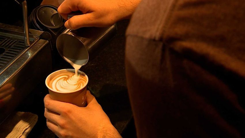  Finally, cannabis cafes are allowed to sell lattes without marijuana in them [Misc]