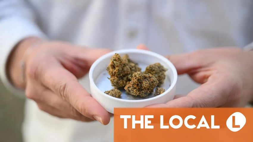 High times for German cannabis firm since legalisation