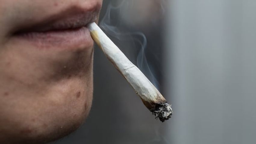Calgary OKs cannabis sales at adults-only festivals and events