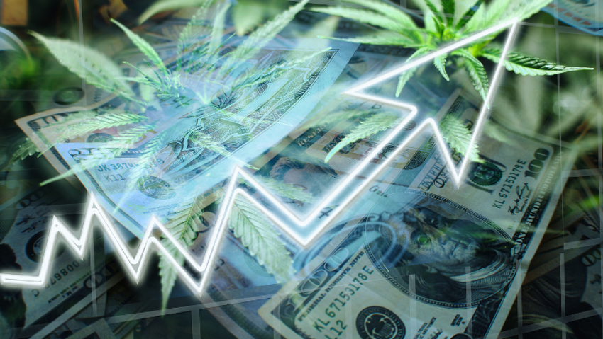 Analysis: State-Legal Cannabis Sales Top $30 Billion in 2024