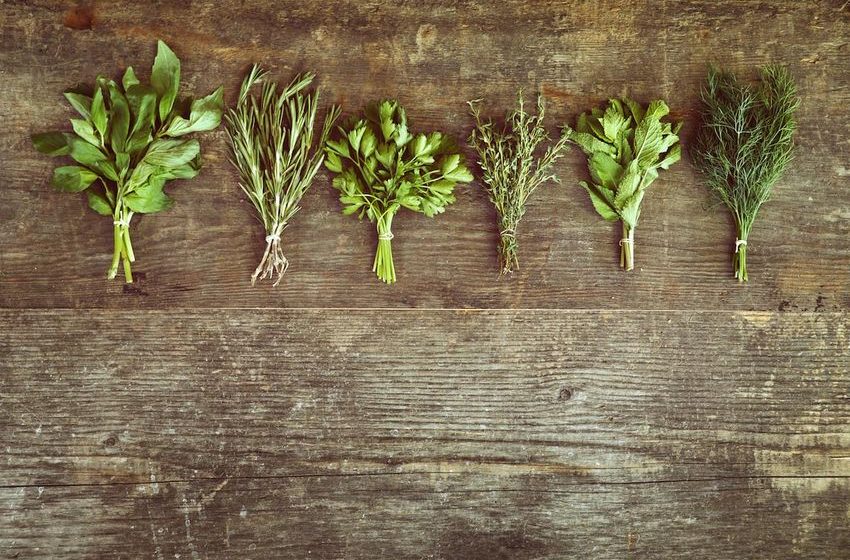 Robert O. Young reveals the power of alkaline herbs in preventing and treating cancer