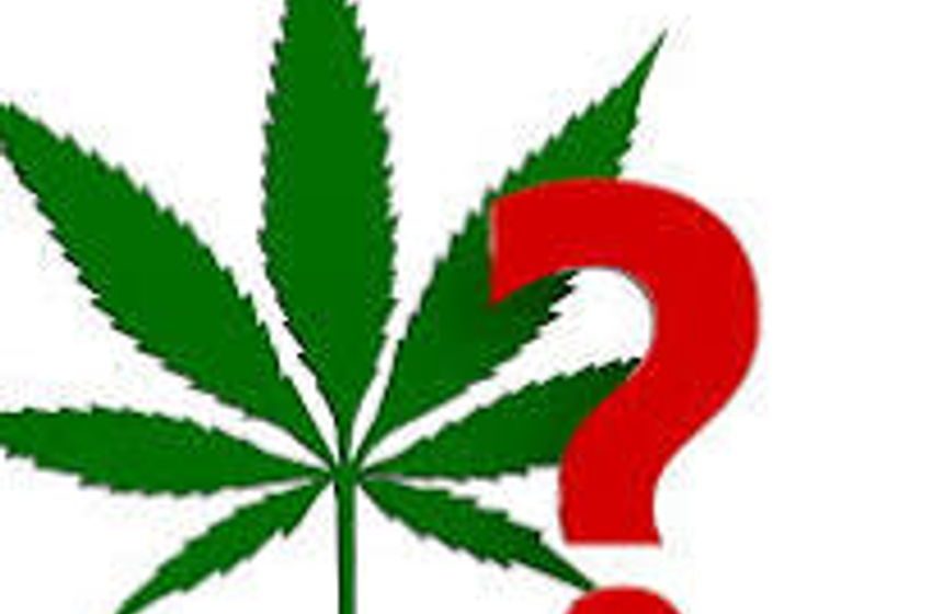  Why Is Cannabis So Hard?