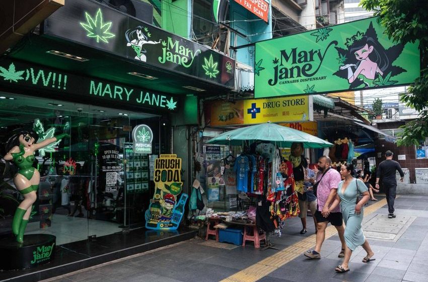  Surge in cannabis smuggling prompts Thailand to tighten rules