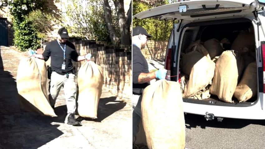 Bizarre electricity bypass leads to shock $250k cannabis bust in Melbourne home