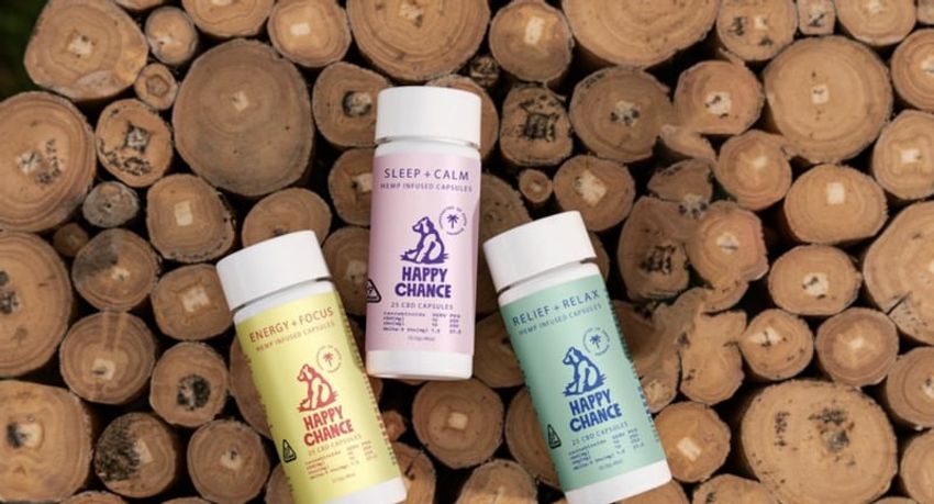 Functional Hemp Capsules – Happy Chance Has Introduced an Innovative Line of Hemp-Based Supplements (TrendHunter.com)
