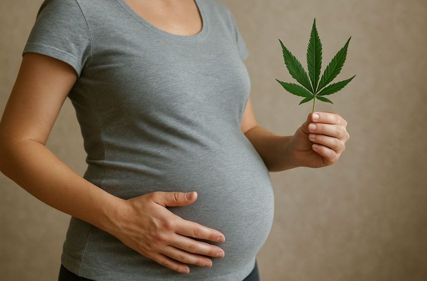 New Study Warns: Marijuana Use During Pregnancy Poses Serious Risks to Fetal Health