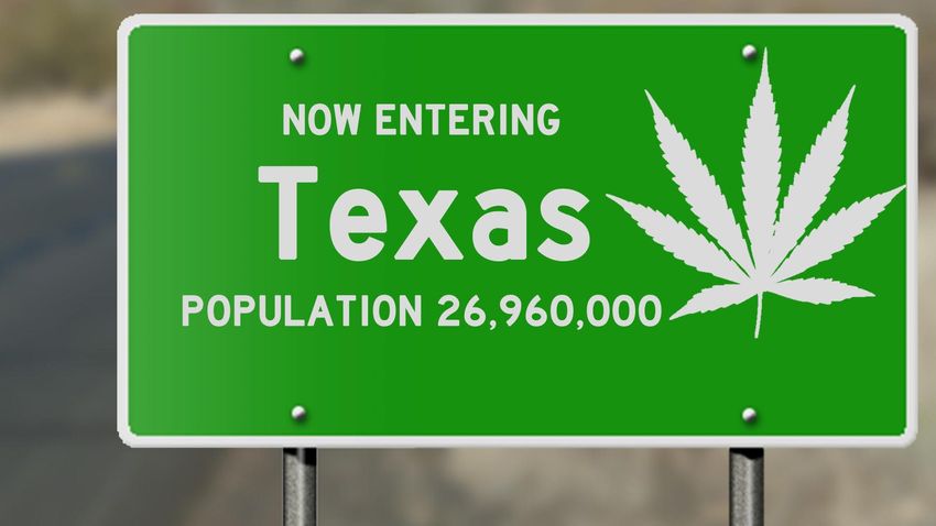 Texas Moves To Ban Hemp Products But Approves Psychedelic Research