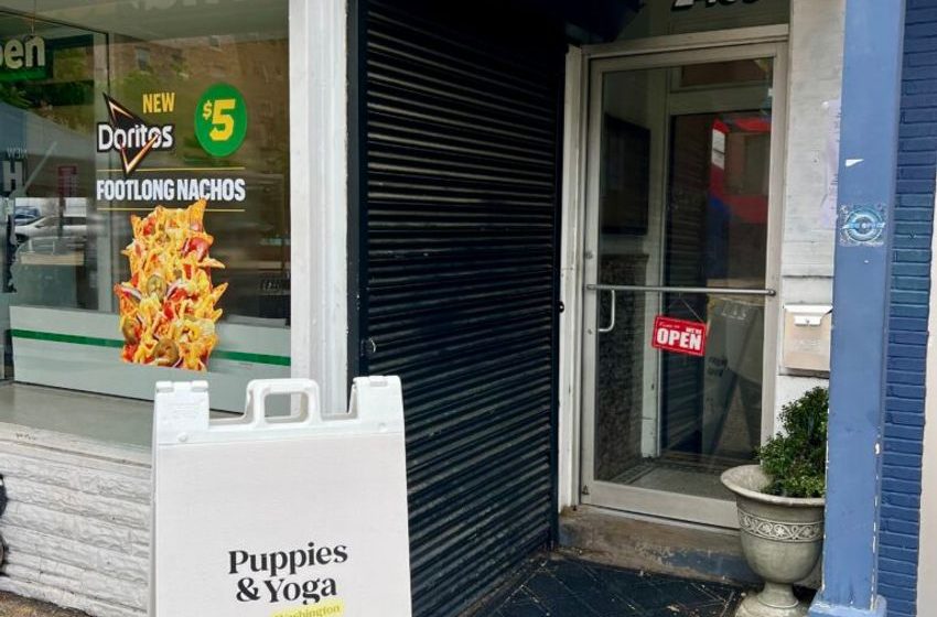 Puppies and Yoga popped up in Adams Morgan