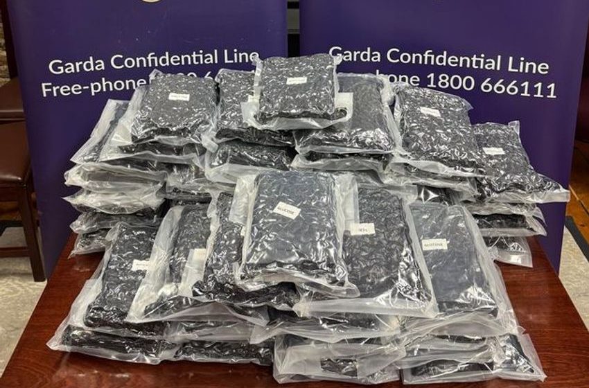  Gardaí arrest two men (20s) following seizure of cannabis worth €460k in Dublin raid
