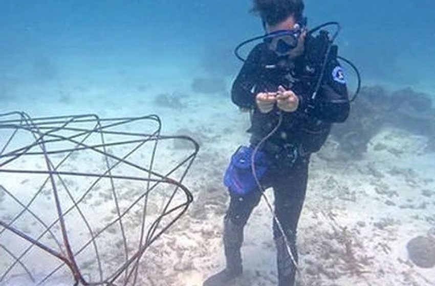 Algorithmic Artificial Reef: from Industrial Design School Project to Legacy at Sea