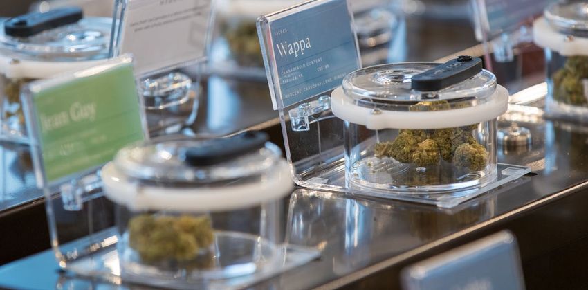 The ‘entourage effect’ — what we don’t know about how cannabis works