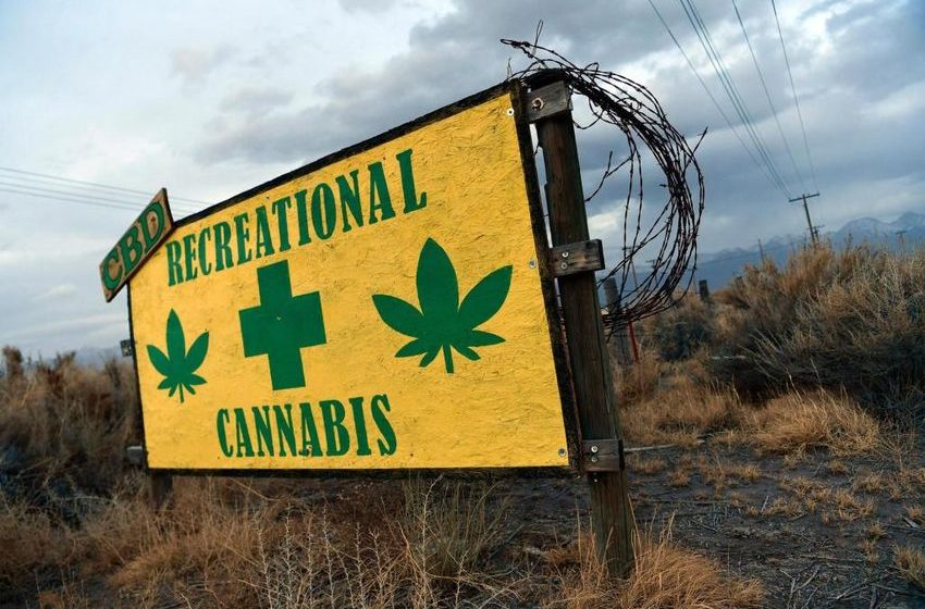 Best destinations for marijuana-friendly vacations