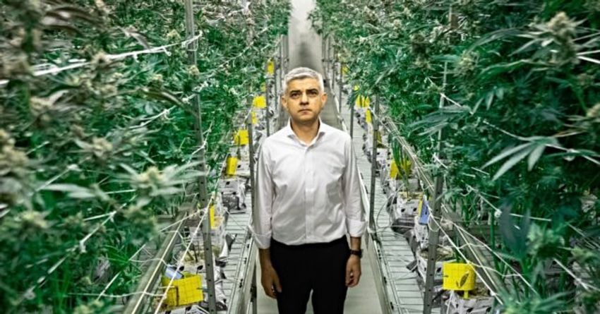 Legalise Weed Says London Mayor Sadiq Khan