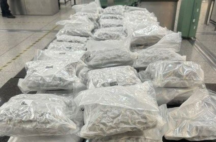 Former Arsenal player Jay Emmanuel-Thomas pleads guilty to cannabis importation offence