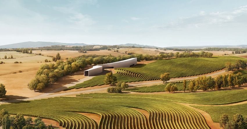 Spanish winery built from hempcrete blocks to preserve ancient grapes