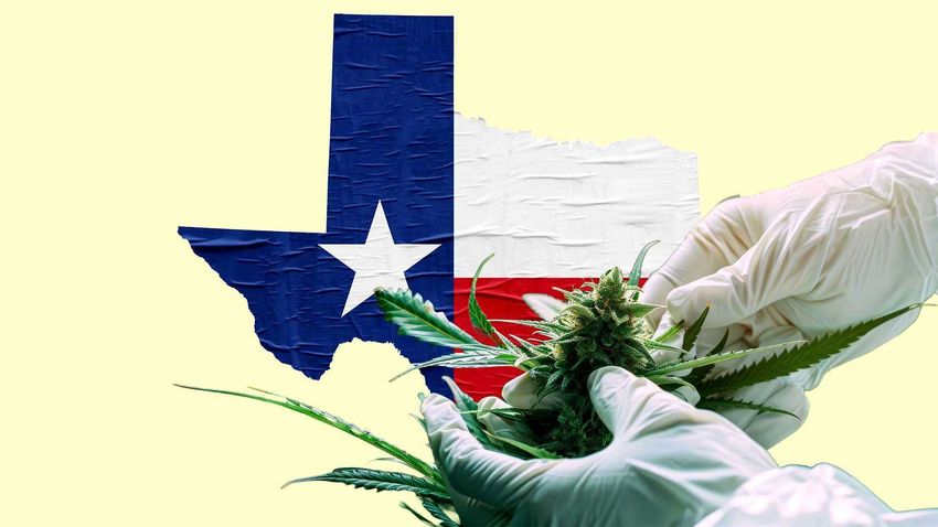 Texas Bans Delta-8 THC, Which Is Only Popular Because of Prohibition