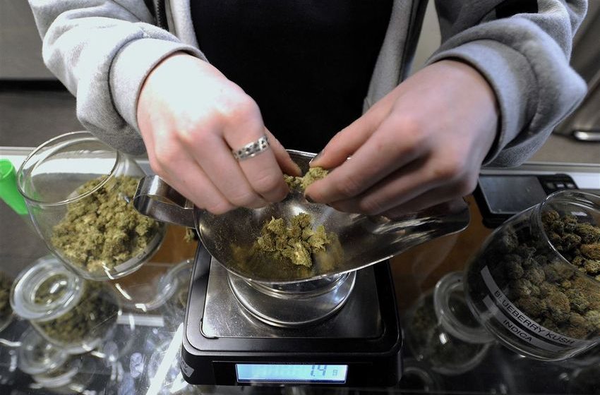 Brain pathway linking cannabis use and psychosis at center of new study