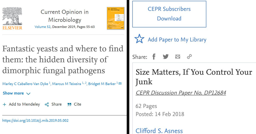 24 Paper Titles From Scientists With A Sense Of Humor, As Shared On This Twitter Thread