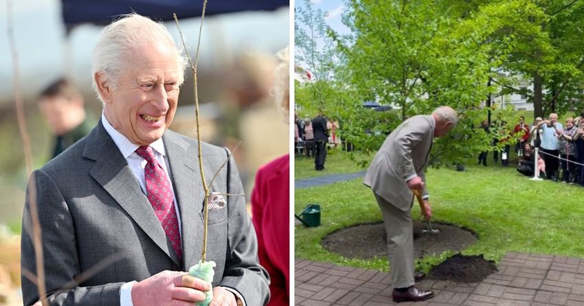  King Charles Adopts ‘Hippie-Style Diet’ from the 60s to Beat Cancer—And It’s Not What You’d Expect!