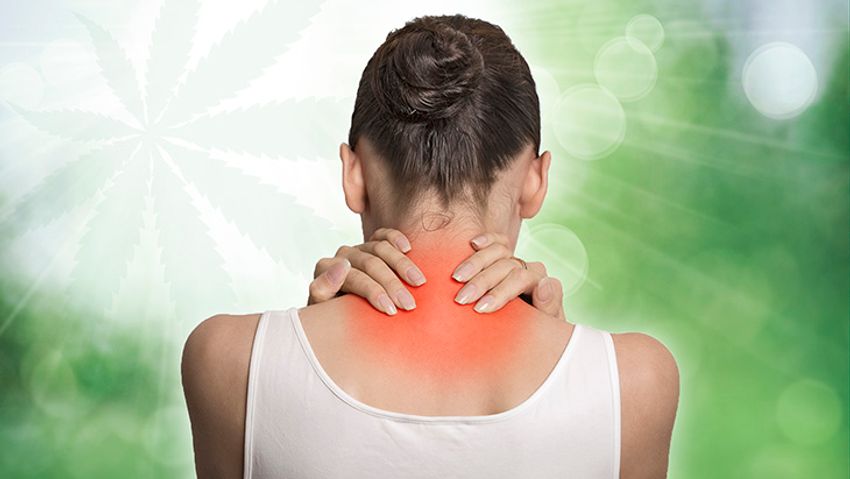 Study: Musculoskeletal Pain Patients Experience Symptom Improvements, Minimal Side Effects Following Sustained Use of Cannabis
