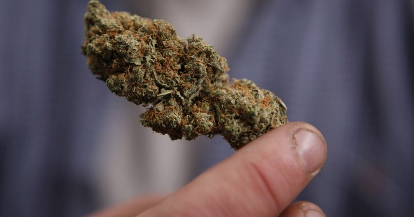 Two bills aim to boost safety of medical cannabis in Maine; some say this could hurt small growers