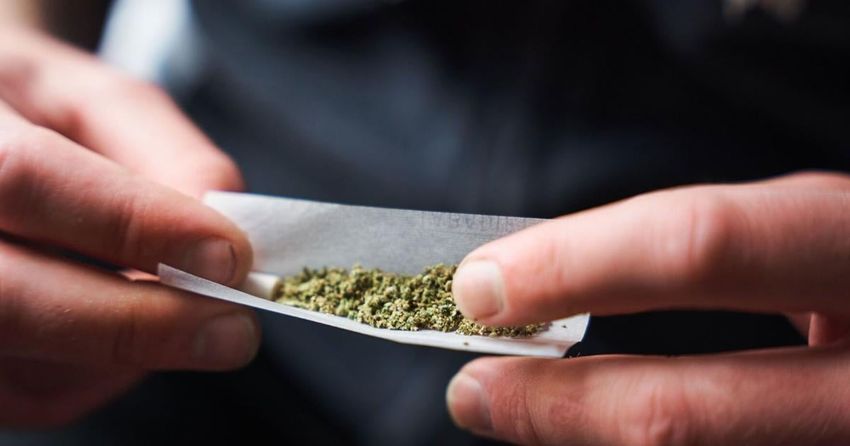 Marijuana Use Dramatically Increases Risk of Dying from Heart Attacks and Stroke, Large Study Finds