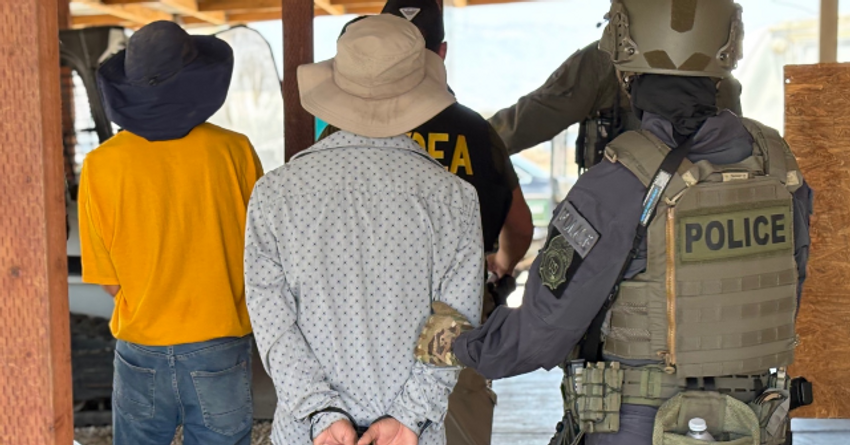 VIDEO — Feds Arrest 70 Illegals at Unlawful California Marijuana Grow Sites: ‘Crime Follows Crime’